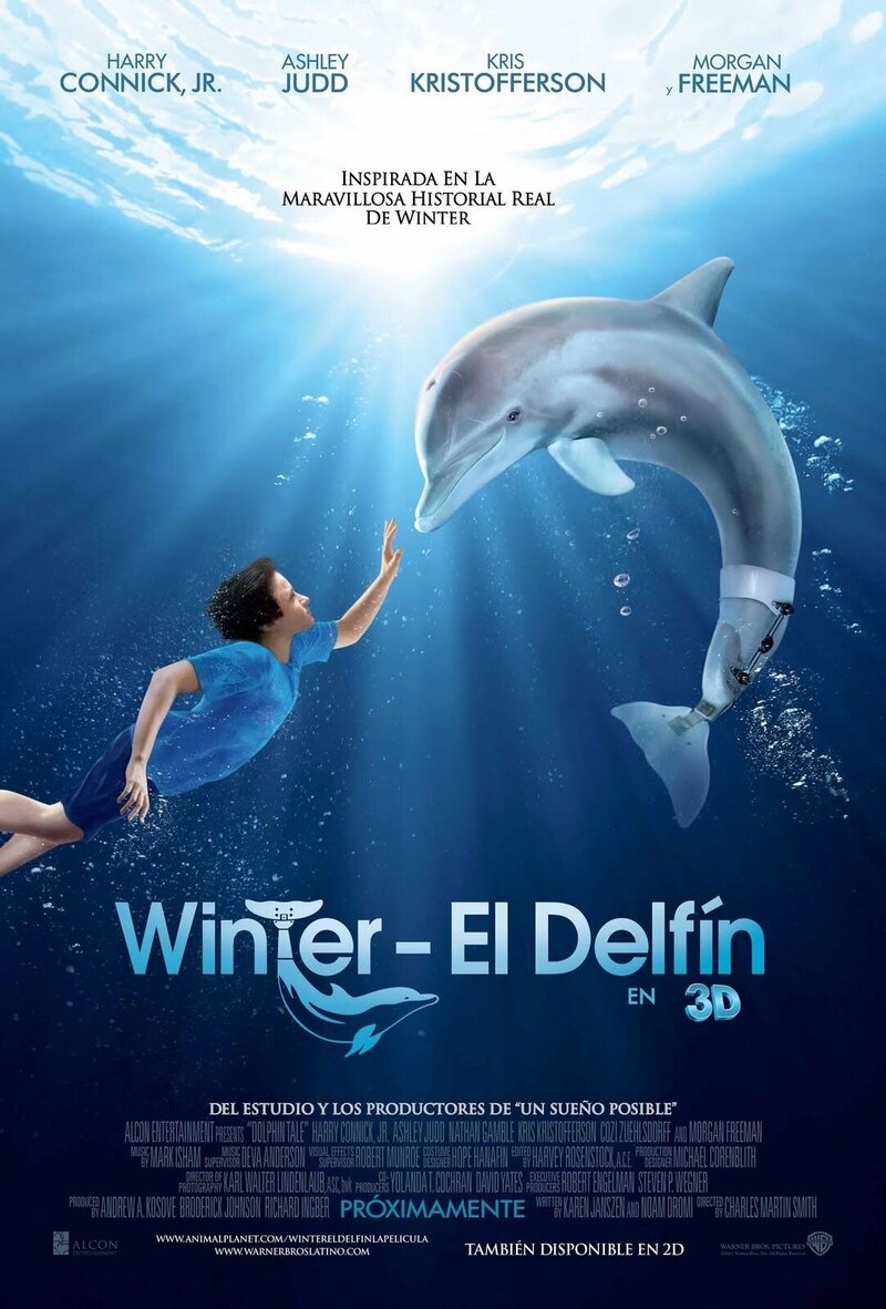 Dolphin Tale (2011) - poster 5