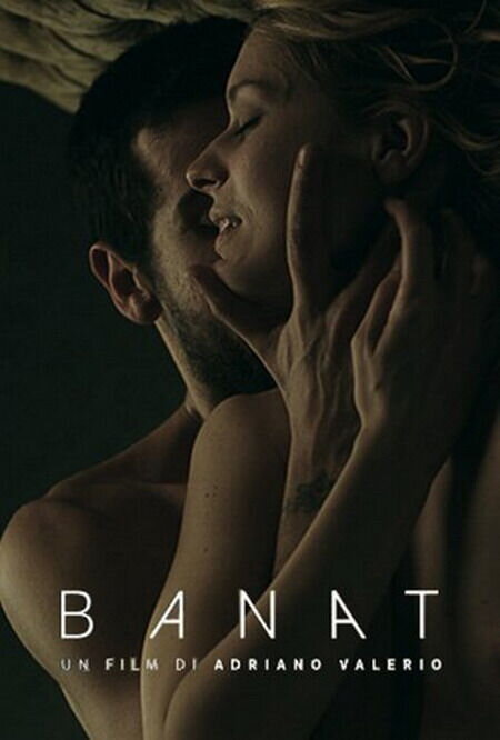 Banat (Il Viaggio) (2015) - poster 1