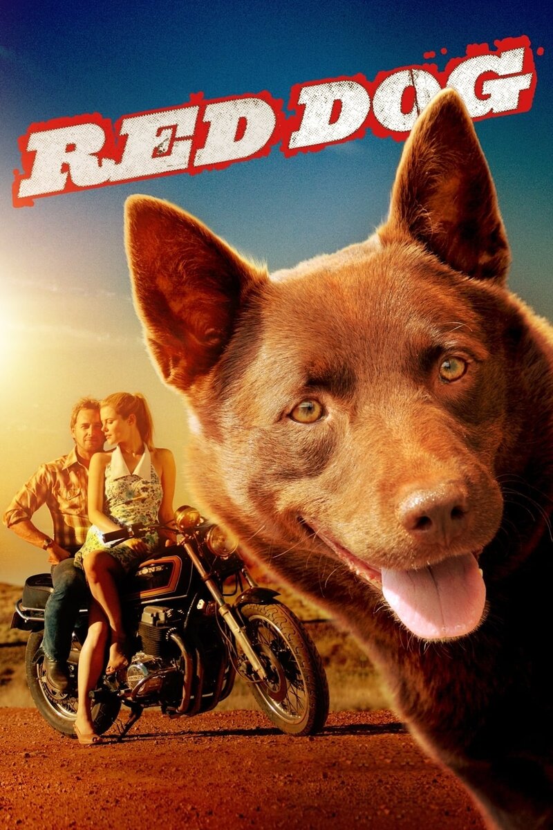 Red Dog (2011) - poster 1