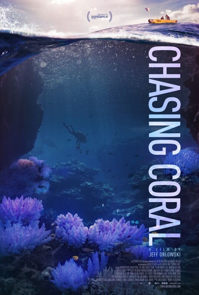 В поисках кораллов (2017) - постер 1