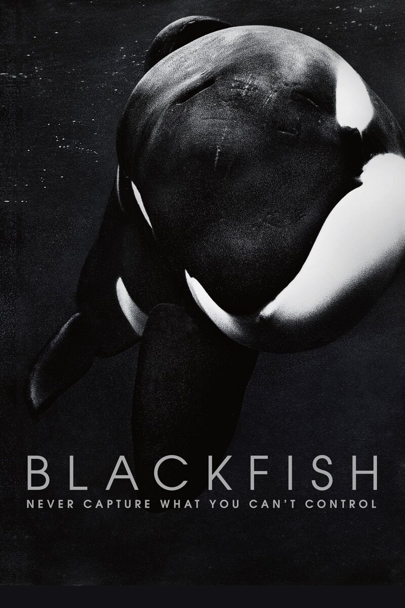 Blackfish (2013) - poster 1