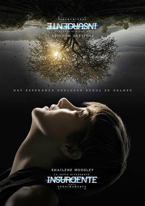 Insurgent (2015) - poster 27