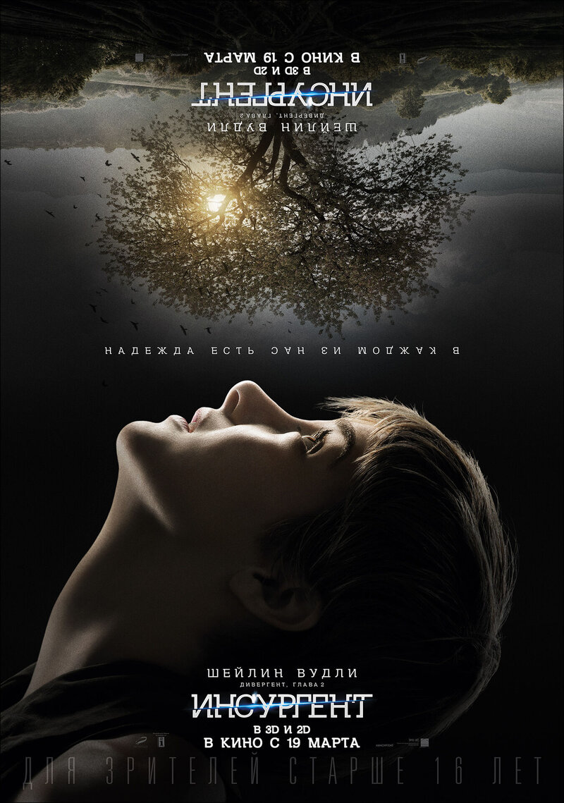 Insurgent (2015) - poster 32