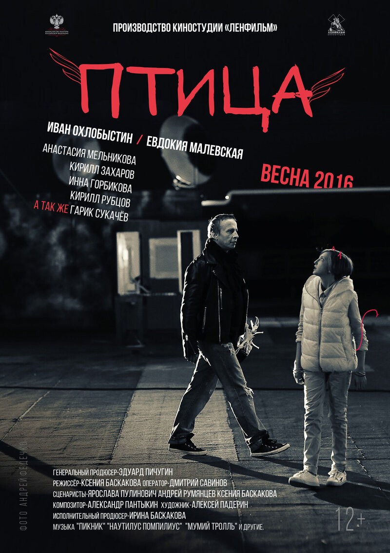 Птица (2017) - постер 3
