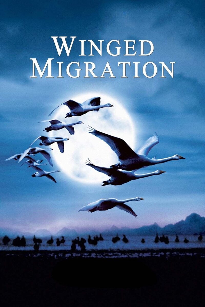 Winged Migration (2001) - poster 1