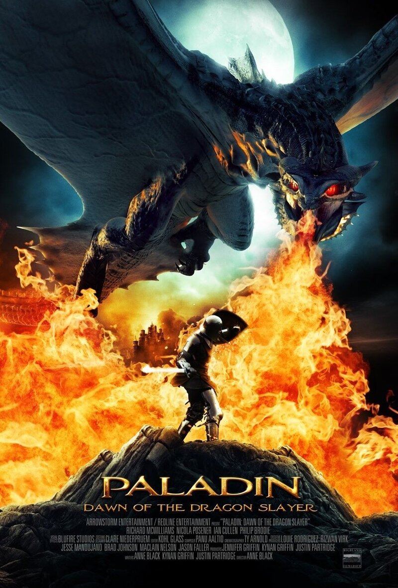 Paladin (2011) - poster 1