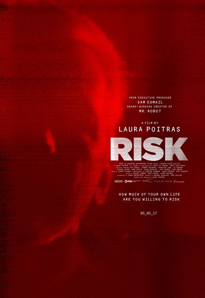 Risk (2016) - poster 2