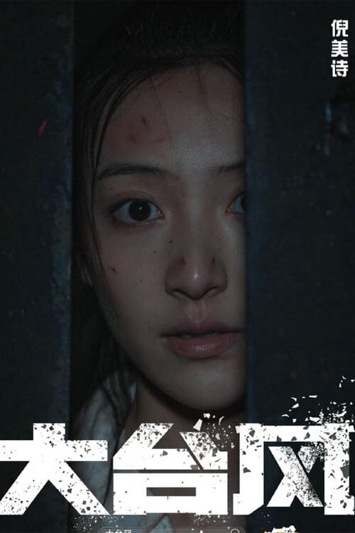 Typhoon (2022) - poster 1