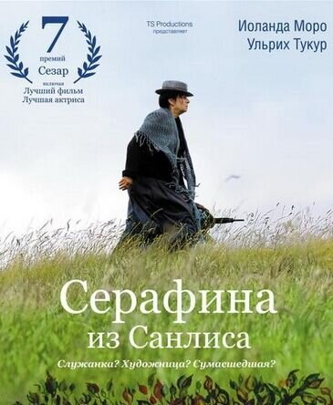 Серафина из Санлиса (2008) - постер 1