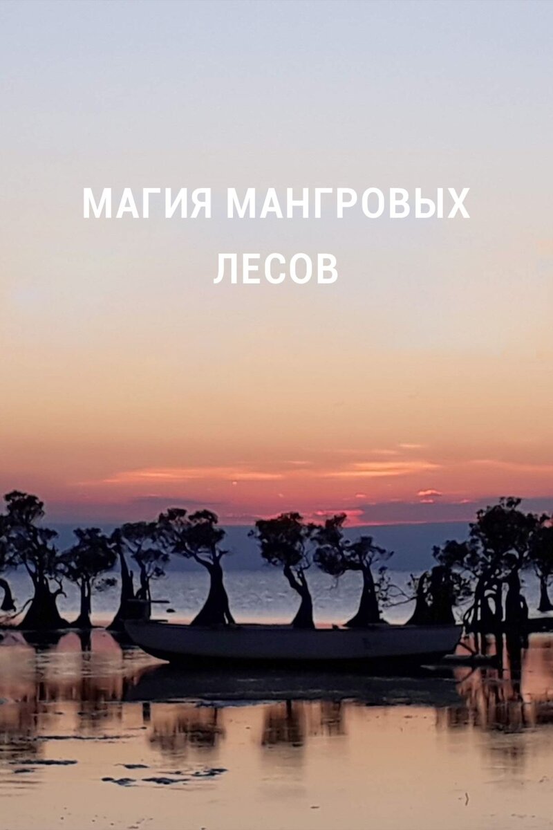 Магия мангровых лесов (2020) - постер 1