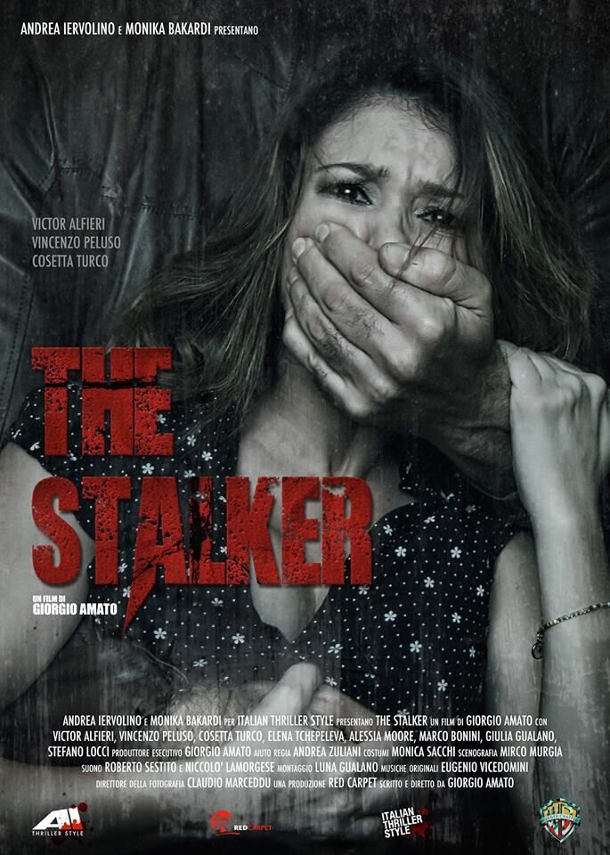 The Stalker (2013) - poster 1