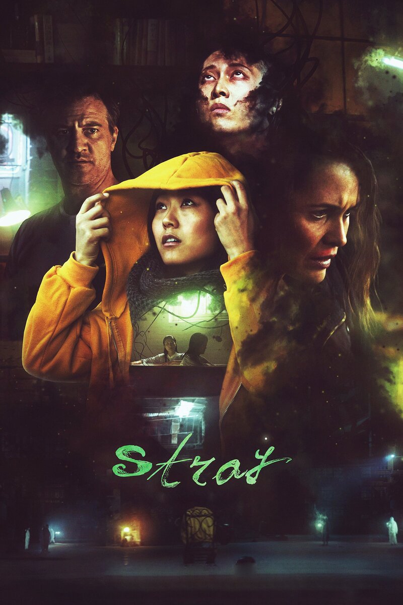 Stray (2021) - poster 1
