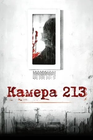 Камера 213 (2011) - постер 1