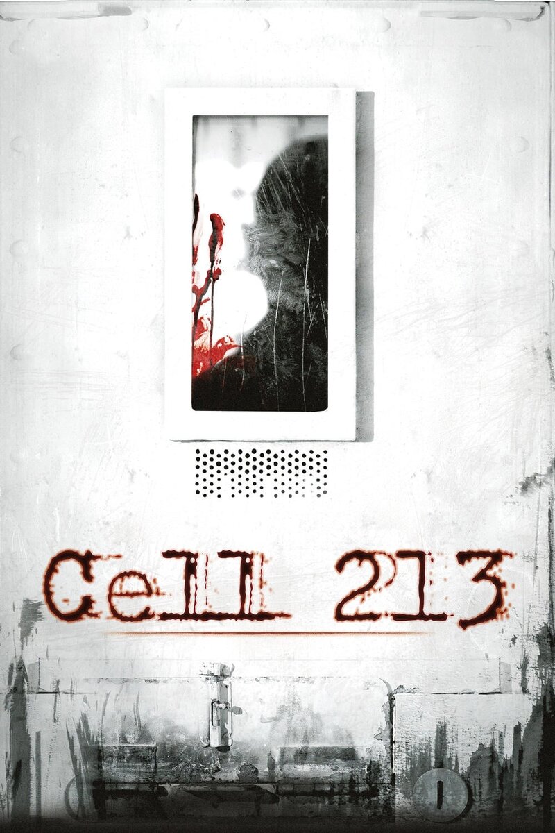 Камера 213 (2011) - постер 2