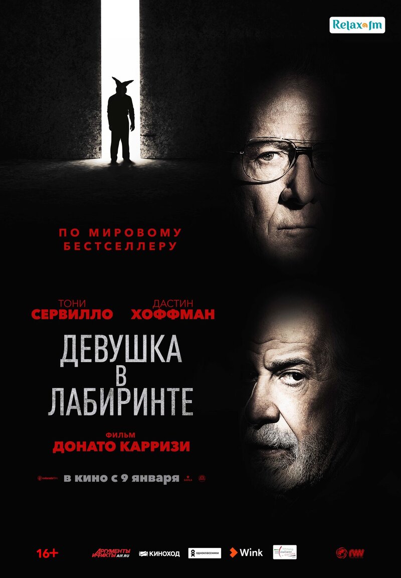 Девушка в лабиринте (2019) - постер 1