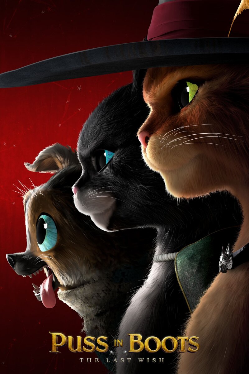 Puss in Boots: The Last Wish (2022) - poster 3