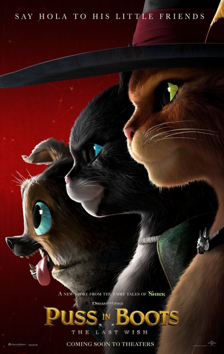 Puss in Boots: The Last Wish (2022) - poster 5