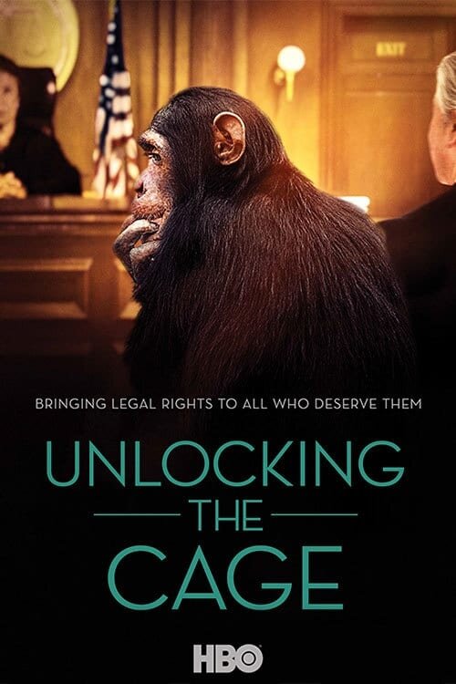 Unlocking the Cage (2016) - poster 1