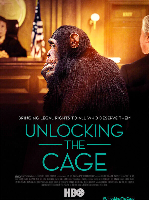 Unlocking the Cage (2016) - poster 2
