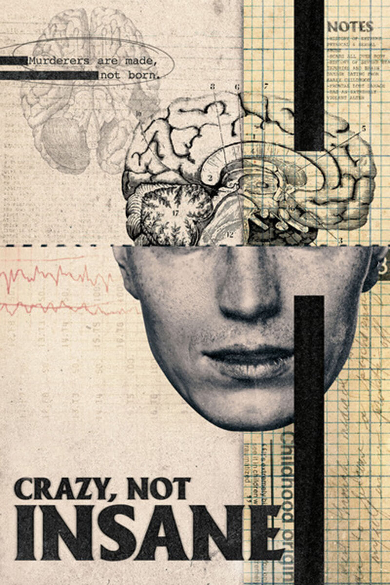Crazy, Not Insane (2020) - poster 1