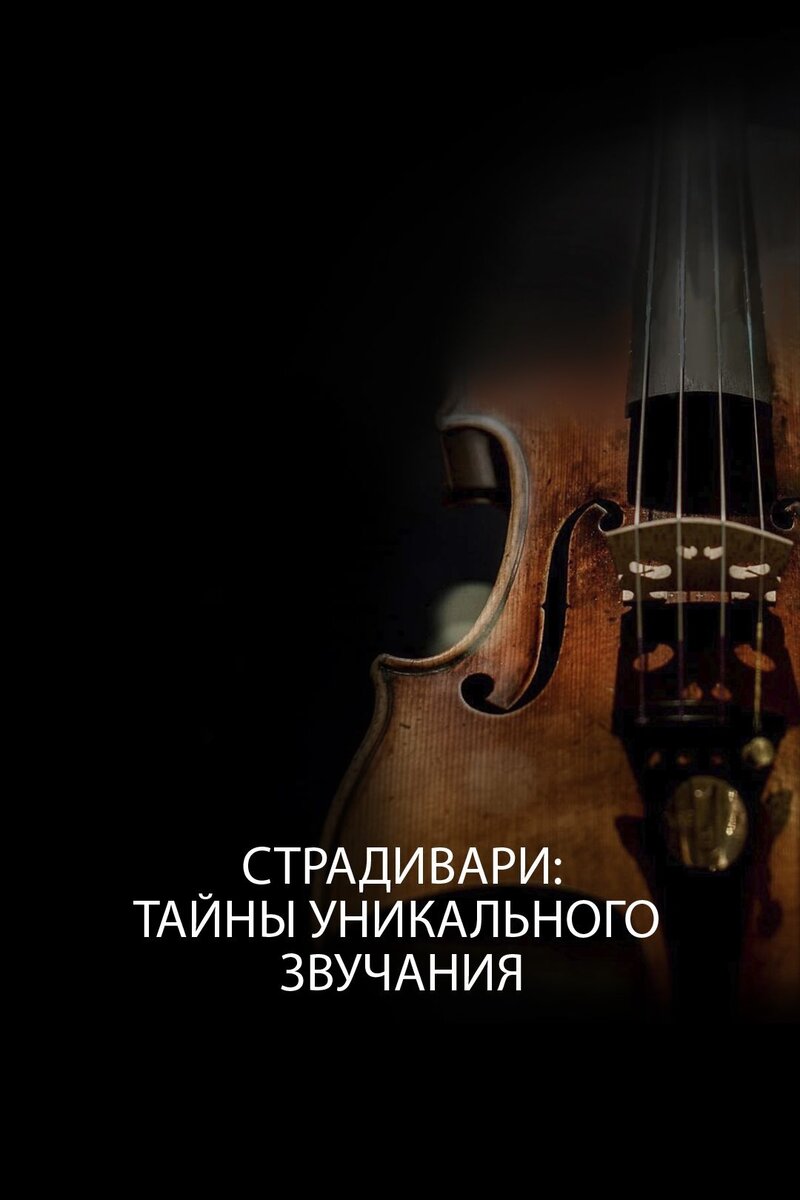 Страдивари: Тайны уникального звучания (2013) - poster 1