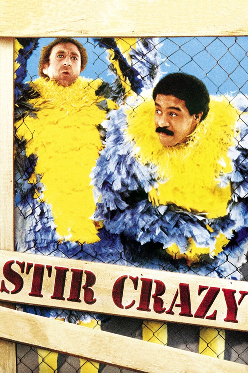 Stir Crazy (1980) - poster 1