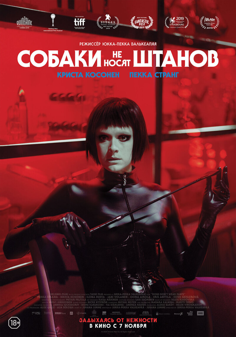 Собаки не носят штанов (2019) - постер 2