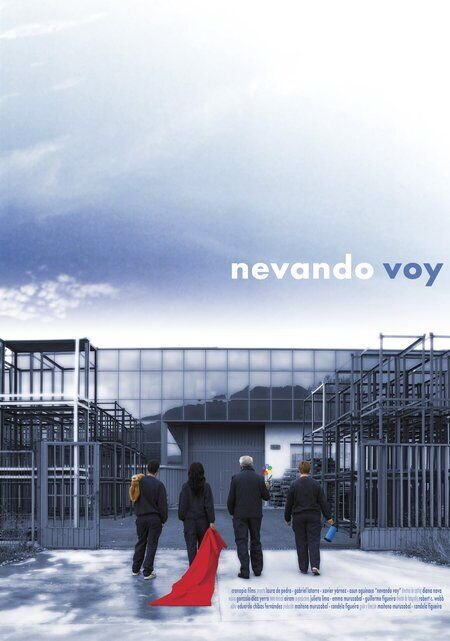 Nevando voy (2007) - poster 1