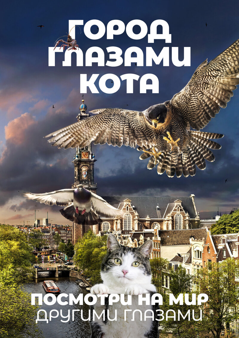 Город глазами кота (2018) - постер 1
