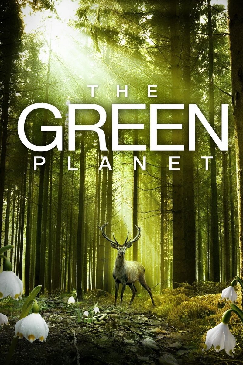 The Green Planet (2012) - poster 1