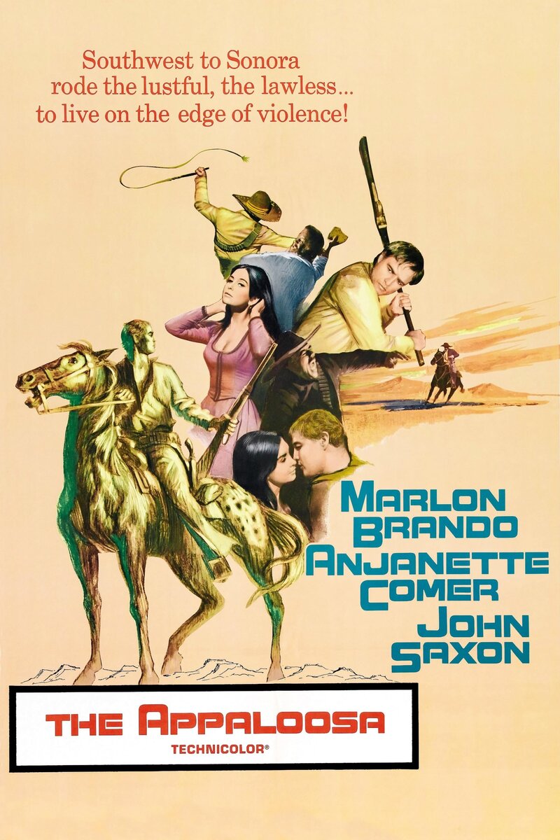 The Appaloosa (1966) - poster 1