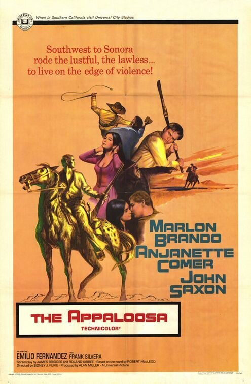 The Appaloosa (1966) - poster 2