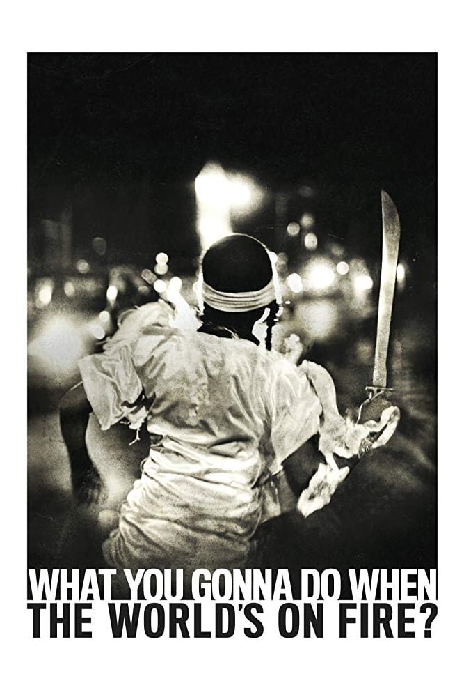 What You Gonna Do When the World's on Fire? (2018) - poster 1