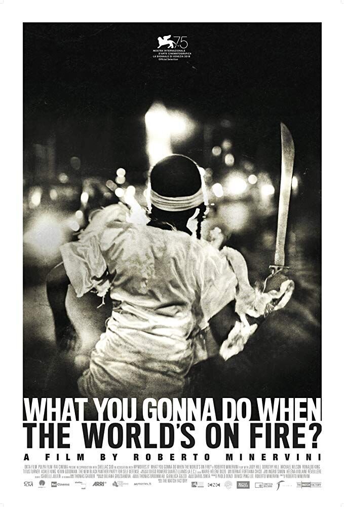 What You Gonna Do When the World's on Fire? (2018) - poster 2