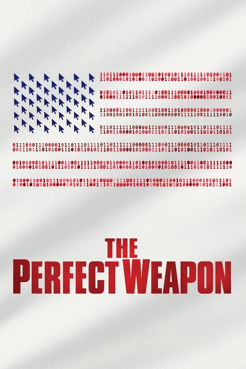 The Perfect Weapon (2020) - poster 1