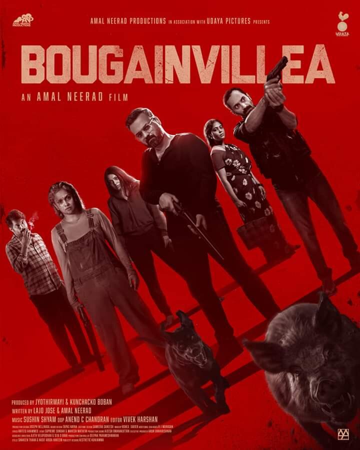 Bougainvillea (2024) - poster 2