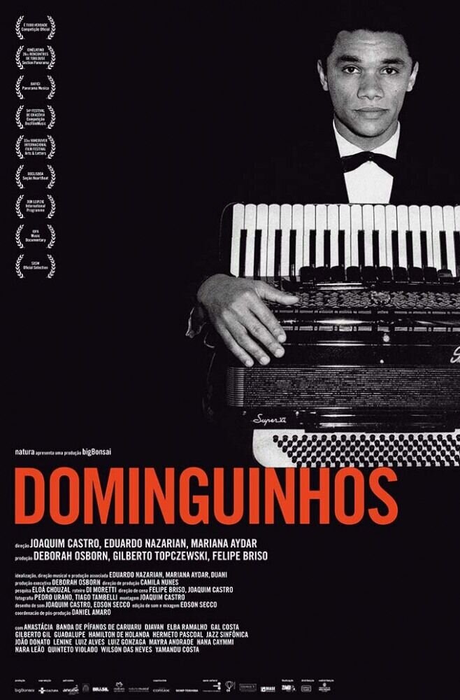 Dominguinhos (2014) - poster 1