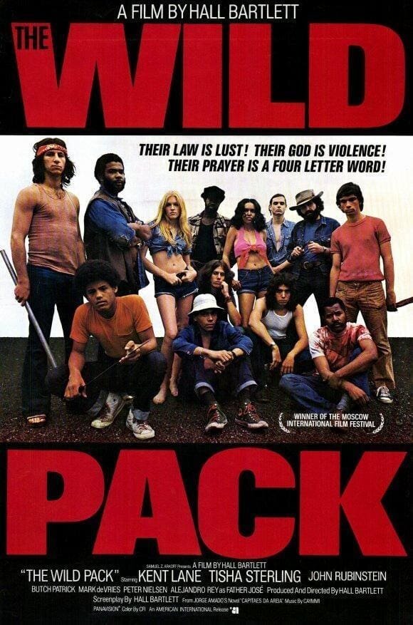The Sandpit Generals (1971) - poster 1