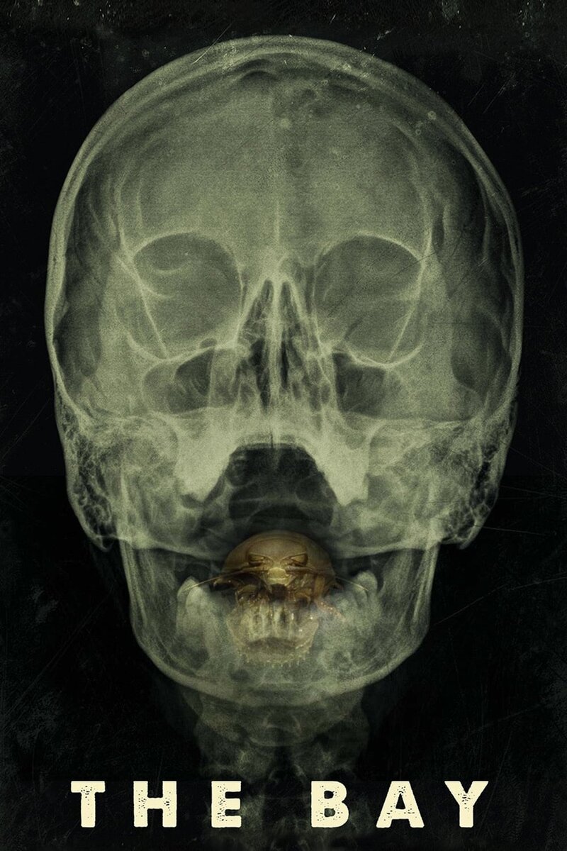 The Bay (2012) - poster 1