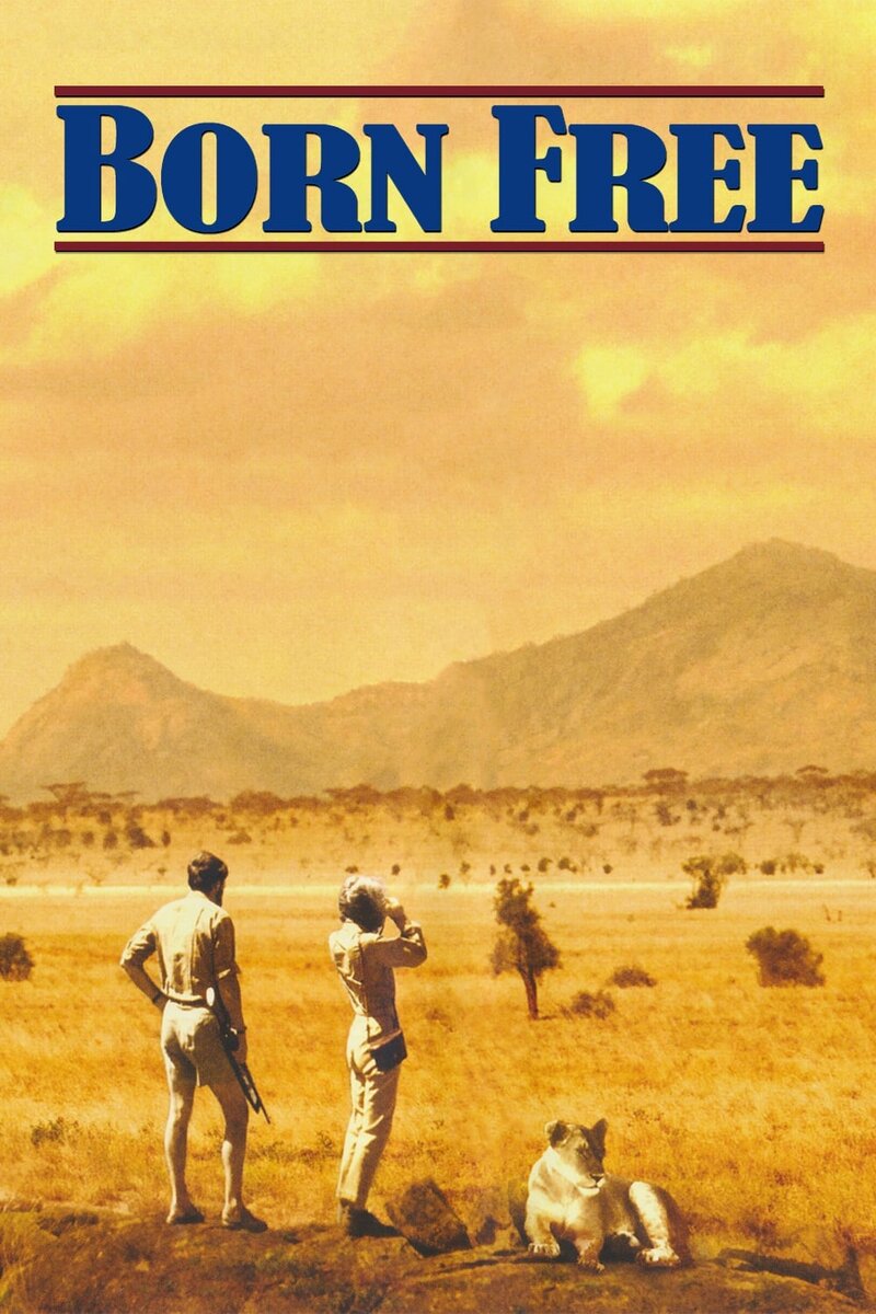 Born Free (1966) - poster 1