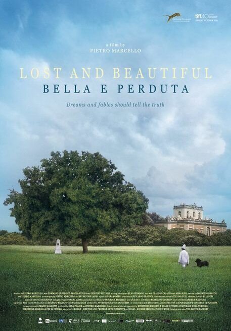 Lost and Beautiful (2015) - poster 2