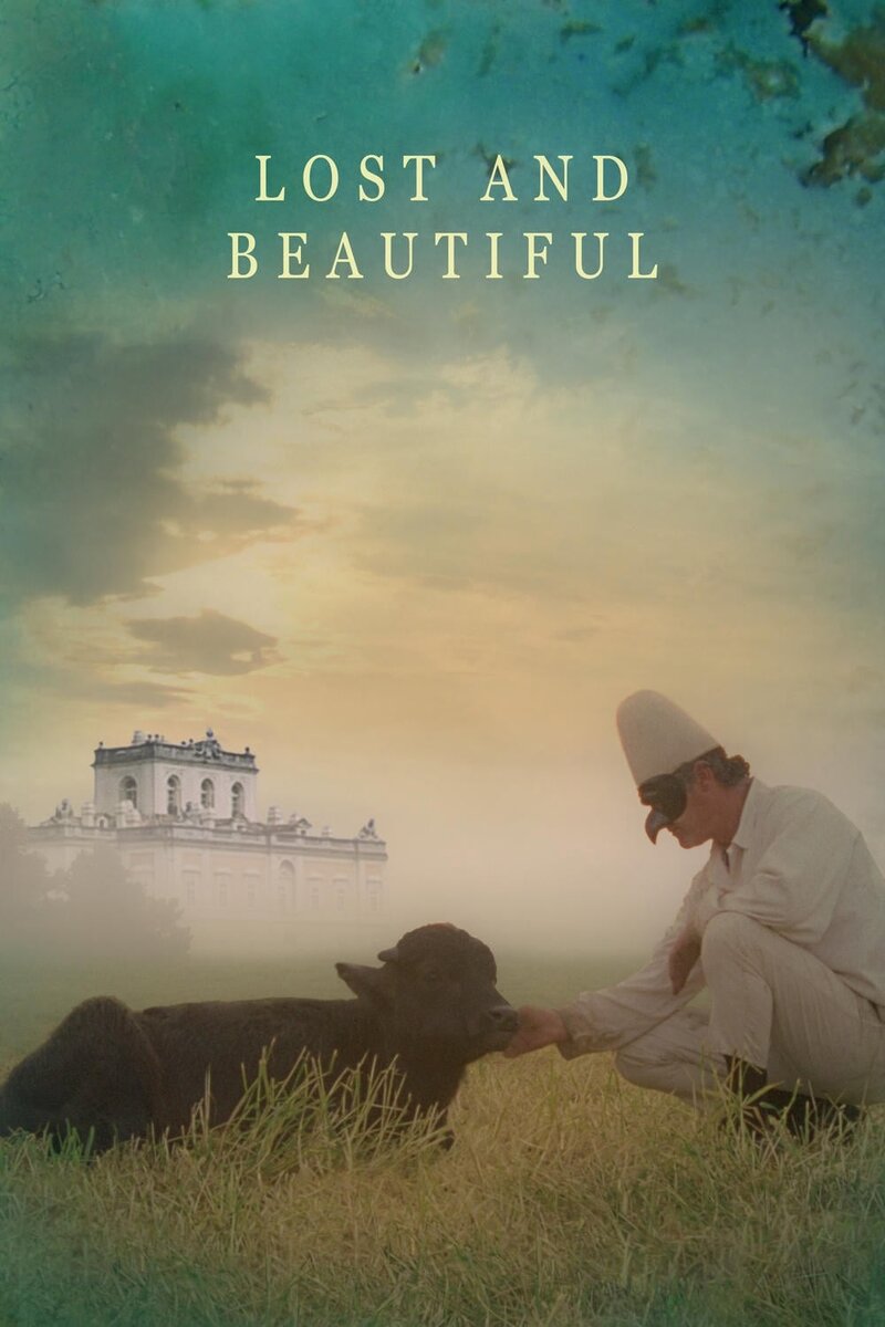 Lost and Beautiful (2015) - poster 1