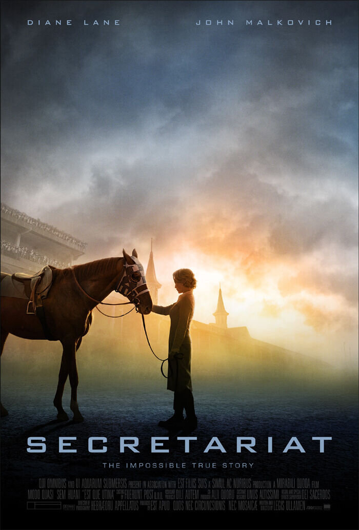 Чемпион (2010) - постер 1