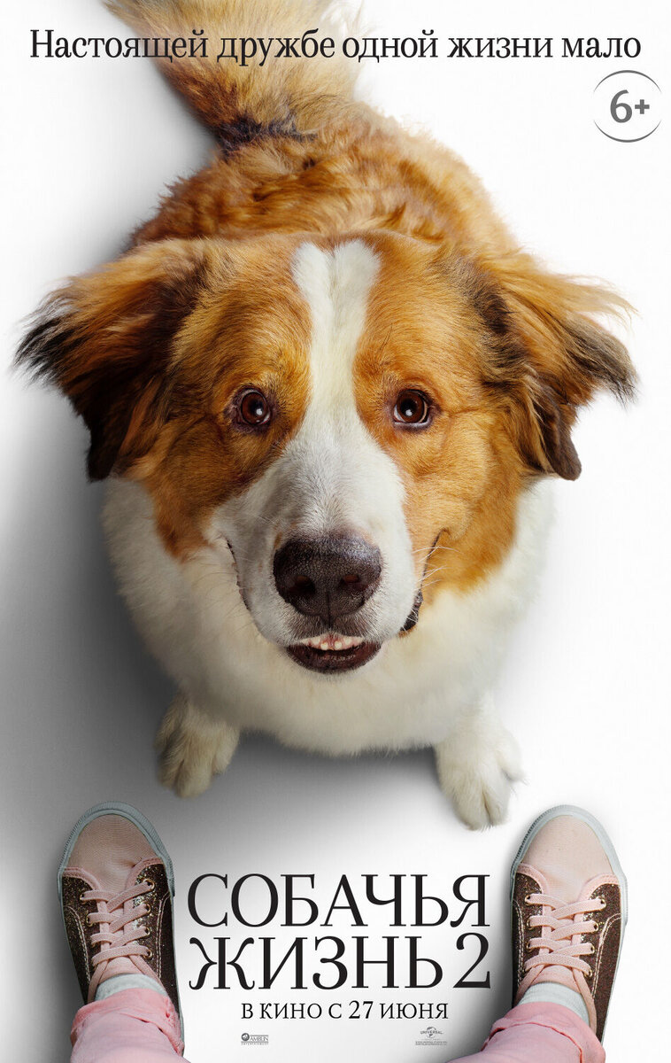 A Dog's Journey (2019) - poster 5