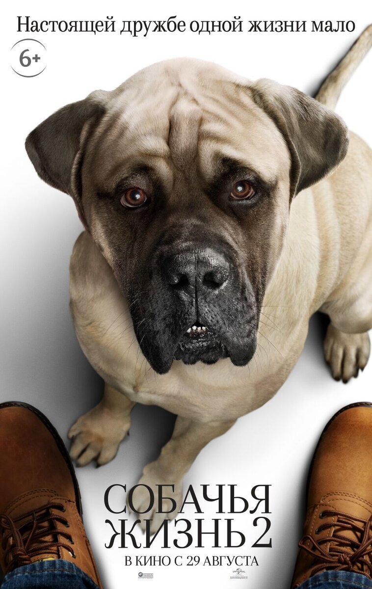 A Dog's Journey (2019) - poster 8