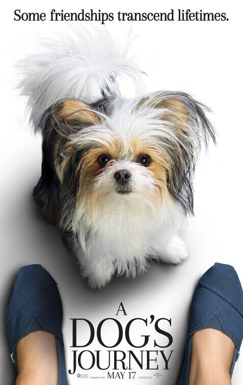 A Dog's Journey (2019) - poster 11