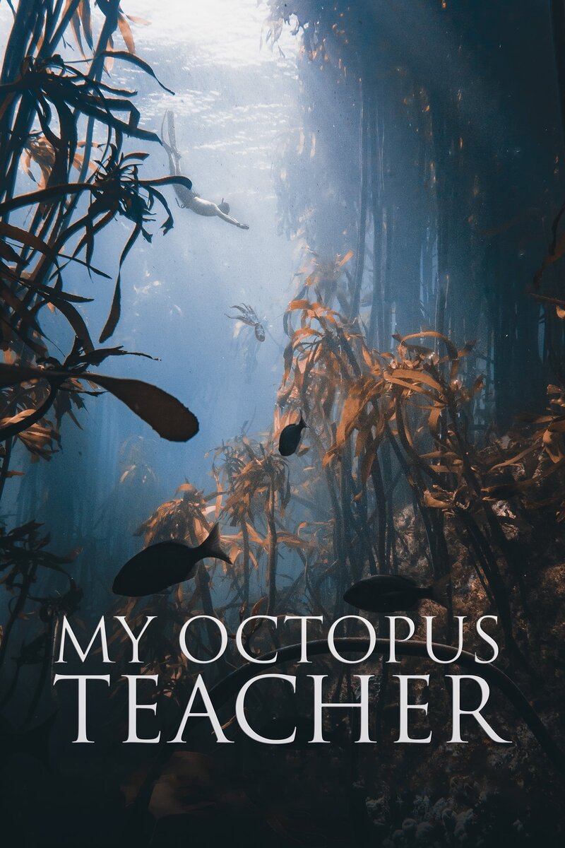 My Octopus Teacher (2020) - poster 1