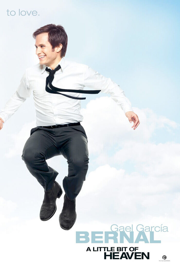 A Little Bit of Heaven (2011) - poster 5