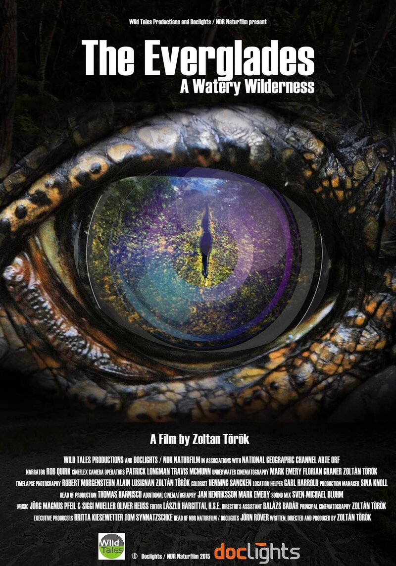 The Everglades (2015) - poster 1