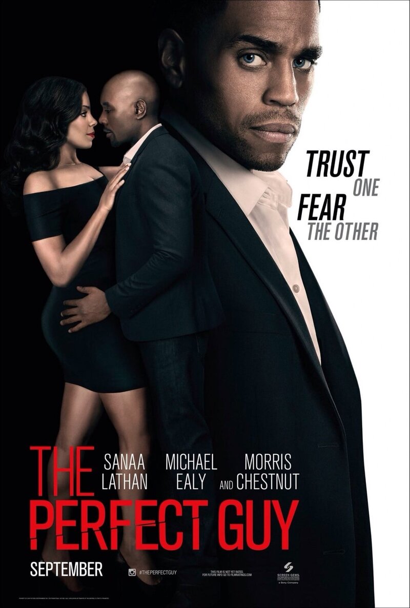 The Perfect Guy (2015) - poster 1
